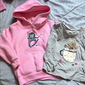 3T Sugarloaf Hoodie and Gray Long Sleeve Shirt